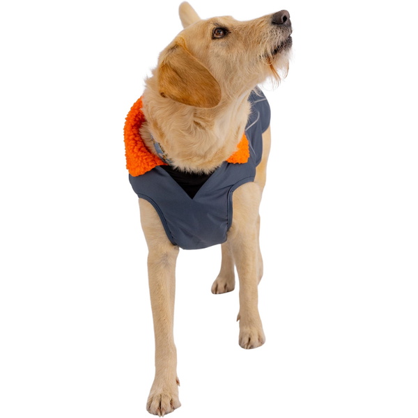 2026 Dryrobe Dog Coat V3DRDC - Dark Grey / Orange